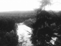 1991_31