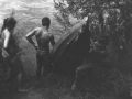 1991_39