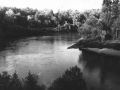1991_41