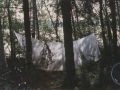 1997_014