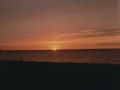 1998_029