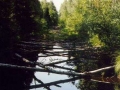 poh_303