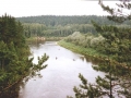 foto_54d