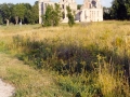 2003