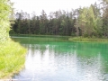 IF