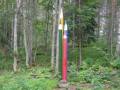 2007_081