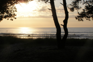 2010
