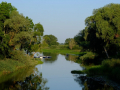 DSCF2042_01
