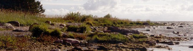 <!--:ru-->2002 — Велопоход остров Сааремаа<!--:-->