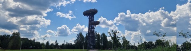 Смотровая вышка Pesapuu